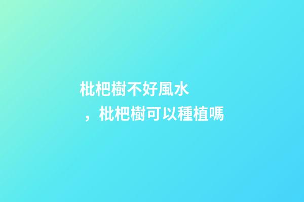 枇杷樹不好風水，枇杷樹可以種植嗎